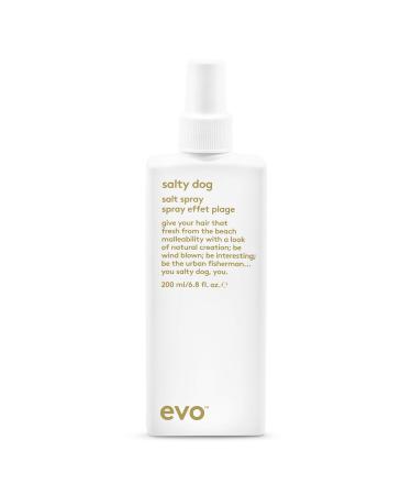 EVO Salty Dog Salt Spray - Hair Texture & Volume Spray - Beach Textured Hair  Natural Matte Finish 6.8 Fl Oz