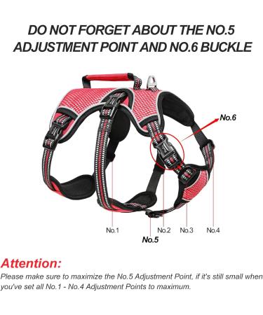 Heele Reflective Dog Crockery & Harness - Durable Comfortable Fit Panic-Resistant Red - Buy Online on GoSupps.com