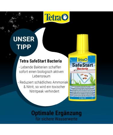 Tetra FilterActive Bacteria 100ml - 2-in-1 Starter & Sludge-Reducing Bacteria for Biologically Active Filters | International Shipping Available - Buy Online on GoSupps.com