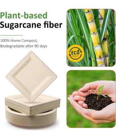 300 pcs Compostable Paper Plates Set Large Plates Heavy Duty Disposable Paper Plates Cutlery Includes Biodegradable Plates Forks Knives Spoons Cups Eco-Friendly Dinnerware Set for Party - Buy Online on GoSupps.com