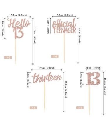 24 PCS Official Teenager Hello 13 Cupcake Toppers - Rose Gold 13th Birthday Cake Decorations - Buy Online on GoSupps.com