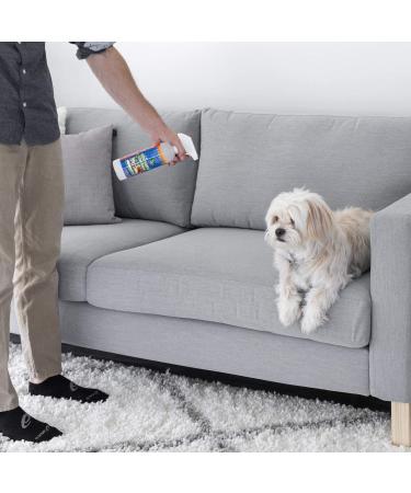 Pet-Friendly Carpet Shampoo: Removes Stains in 60 Seconds - Made in USA - Vet Approved - 16oz Spray - Buy Online on GoSupps.com