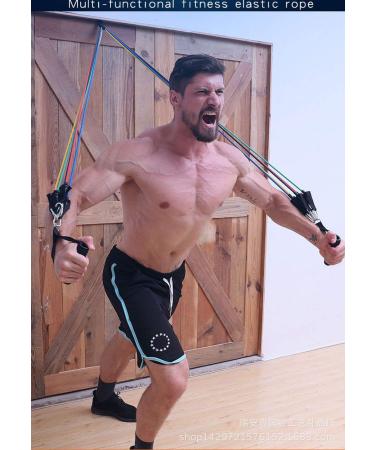 11 Pack Resistance Bands Set Portable Exercise Bands with Door Anchor Handles Legs Ankle Straps for Resistance Workouts Physical Therapy Gym Training Yoga Black 11-2 - Buy Online on GoSupps.com