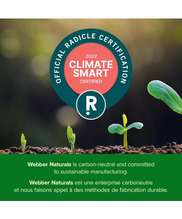 Webber Naturals Glucosamine with Turmeric 120 Tablets Digestion Joint and Antioxidant Support - Buy Online on GoSupps.com