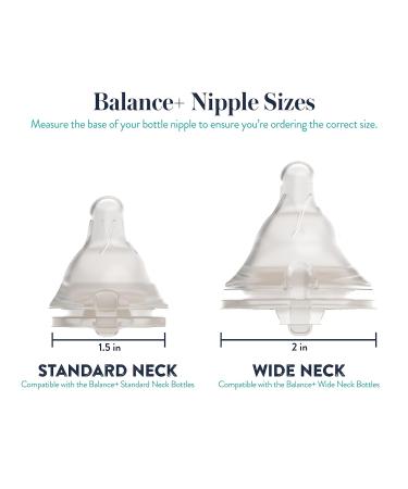 Evenflo Feeding Premium Proflo Venting Balance Plus Wide Neck Bottles - 5oz (Pack of 6) - Pediatrician Approved Infant Bottles for Newborns - Buy Online on GoSupps.com
