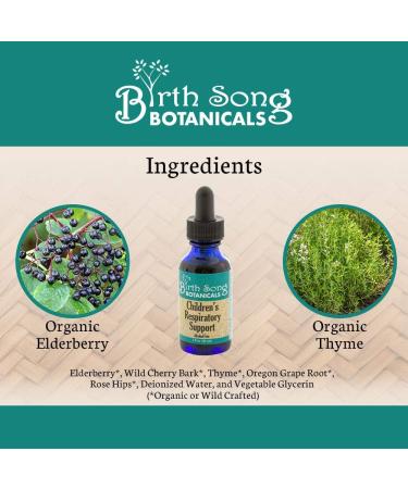 Children's Respiratory Support Tincture with Elderberry - 1oz Bottle - Buy Online on GoSupps.com