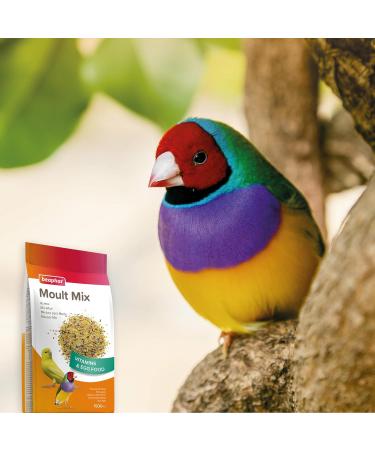 BEAPHAR Mix-Moult fortifying p t for Parakeets Canaries and Exotic Birds Contains vitamins amino acids and - Buy Online on GoSupps.com