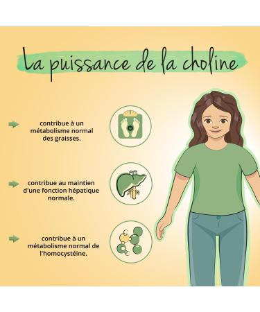 Choline Bitartrate 1400 mg | Biodisponibilit lev e | Detox Foie | 120 G lules | Vegan & Sans Additifs | Vegavero  - Buy Online on GoSupps.com