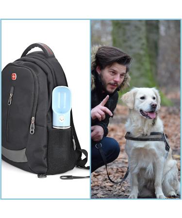Edoxus Multifunctional Dog Water Bottle - Portable Drinking Bottle for Dogs & Cats - Ideal for Hiking (Gray) - Buy Online on GoSupps.com
