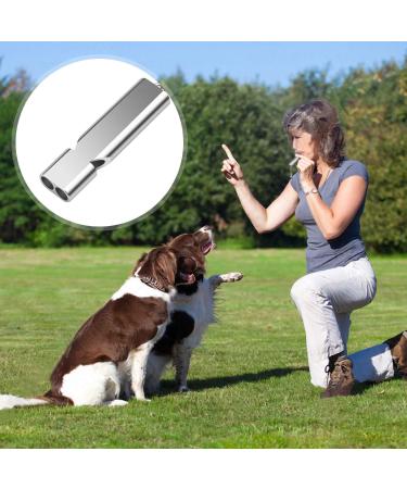 Buy Bizoerade Stainless Steel Emergency Pipe - High Decibel Double Tubes with Lanyard & Keychain for Camping Hunting Sports & Dog Training - Black - Buy Online on GoSupps.com