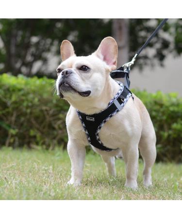 Doramio XXS Dog Harness & Leash for Small Dogs and Cats - Reflective Breathable Safety Harness - Step-In Design - Perfect for Small Breeds (Black) - Buy Online on GoSupps.com