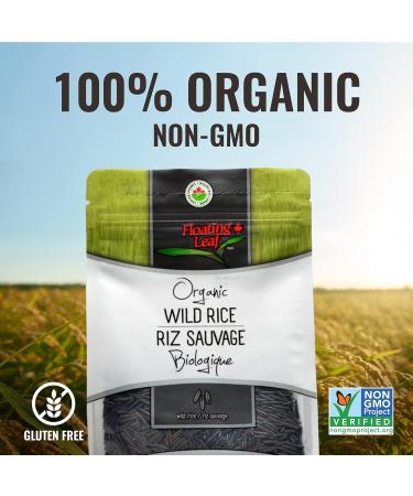 1 Pack x 300g Pure Organic Wild Rice All Natural Gluten-Free Non-GMO Kosher and Vegan Pure Long Grain Wild Rice Healthy Food for The Whole Family Floating Leaf - Buy Online on GoSupps.com