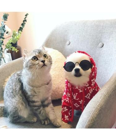 Stock Show Funny Cute Dog Cat Sunglasses - Retro Fashion Eyewear for Pet Photos - Black - Buy Online on GoSupps.com