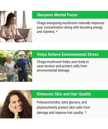 Sayan Siberian Chaga Mushroom Extract Capsules - 90 Wild Harvested 420mg Vegan Supplement for Immune Defense, Better Sleep, Stomach Health & Detox - Buy Online on GoSupps.com