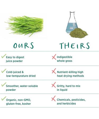 Pure Synergy Organic Barley Grass Juice Powder 5.3 oz - Nutrient-Rich Superfood - Buy Online on GoSupps.com