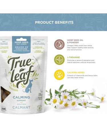 Trueleaf Petcare - Calming Support for Dogs (200g) - Natural Anxiety Relief Supplement Omega-3 Hemp Seed Oil L-Theanine Chamomile & Lemon Balm - Support Calm Behavior & Reduce Stress - 12 Pack - Buy Online on GoSupps.com