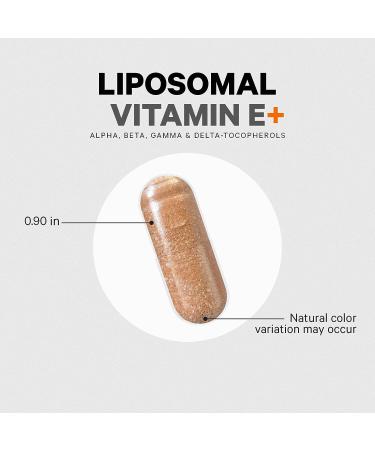 Codeage Liposomal Vitamin E Supplement - All Tocopherols Isomers - Antioxidant - 3-Month Supply - 90 Capsules - Buy Online on GoSupps.com