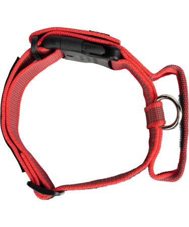 Shop Julius-K9 100HA-K-R-2015 Adjustable K9 Neck Band - Red-Gray with Handle Safety Closure 38-53 cm - International Shipping - Buy Online on GoSupps.com