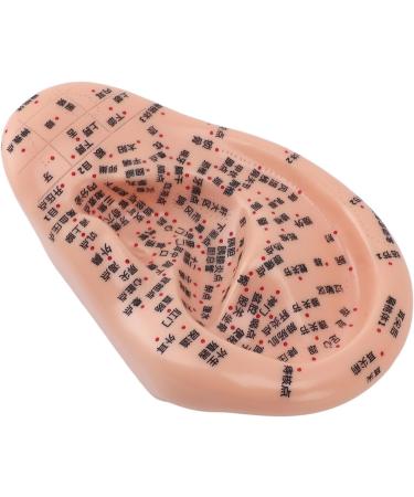 Human Ear Acupuncture Point Model - Clear Lettering Flexible PVC Multi-Purpose for Home Learning and Acupuncture Training - Buy Online on GoSupps.com