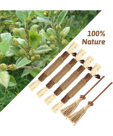 Buy Tao Pipe Catnip Sticks - 6 Interactive Matatabi Chewing Toys for Dental Care & Fresh Breath - Safe Silver Vine Sticks for Cats - Buy Online on GoSupps.com