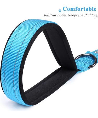 Vivaglory Short Dog Leash - Traffic Training Leash for Medium & Large Dogs | 46cm Sea Blue - Buy Online on GoSupps.com