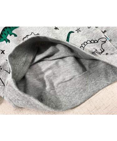 Kids Dinosaur Sweatshirt | Long Sleeve Cotton Jumper for Boys and Girls | Toddler Pullover Tee | Baby Clothes 1-8 Years | Grey | Size 2-3 Years - Buy Online on GoSupps.com
