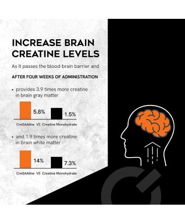 Micronized Creatine Monohydrate + GAA - Vegan Gluten-Free for Muscle Growth & Focus | No Water Retention | Orange Flavor - Buy Online on GoSupps.com