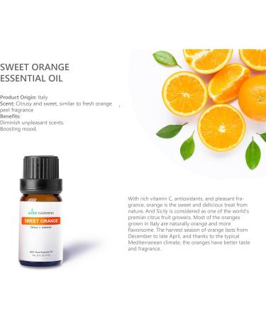 Citrus Essential Oil Set - Pack of 6 Pure Therapeutic Grade 10ml Oils | Lemon Grapefruit Sweet Orange Lime Bergamot & Petitgrain - Buy Online on GoSupps.com