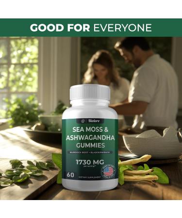 Biolore Sea Moss Gummies with Ashwagandha Irish Sea Moss Burdock Root Bladderwrack - Vitamin Gummies for Adults Kids Men Women - Vegan Gluten-Free Sea Moss Ashwagandha - Buy Online on GoSupps.com