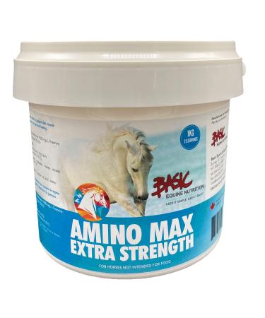 Amino Max (1 Kg)