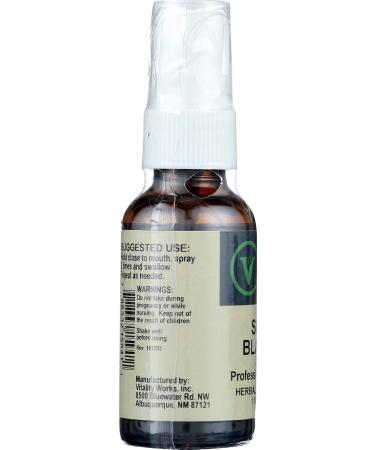 Vitality Works Blaster Spray 1 FZ | Powerful Immune System Support - Buy Online on GoSupps.com