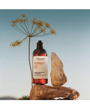 L'OCCITANE - Intense Repair Shampoo - 300 ml - Dry and damaged hair - Made in France - Buy Online on GoSupps.com