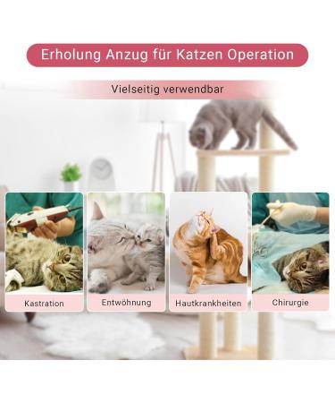 Lollanda Katzenbody - Surgical Recovery Suit for Cats After Castration | Comfortable Recovery Outfit for Abdominal Wounds (Pink XS) - Buy Online on GoSupps.com