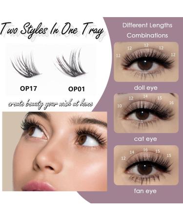 DIY Individual Cluster Lash Extension Kit with Bond and Seal Remover Tweezers | 204 Pcs 10-16mm Natural Light C/D Curl False Eyelashes | Beginner at Home - OP01+OP17 - Buy Online on GoSupps.com