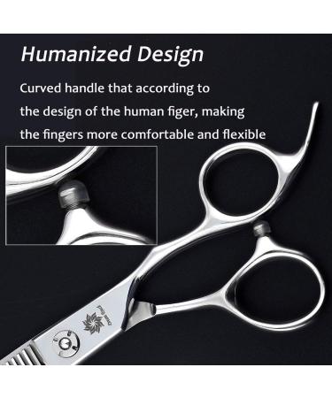 Dream Reach Professional 6 Hair Cutting Scissors - Japanese 440C Steel - Thinning Shear for Salon/Barber/Home Use - Chunker 02 - Buy Online on GoSupps.com