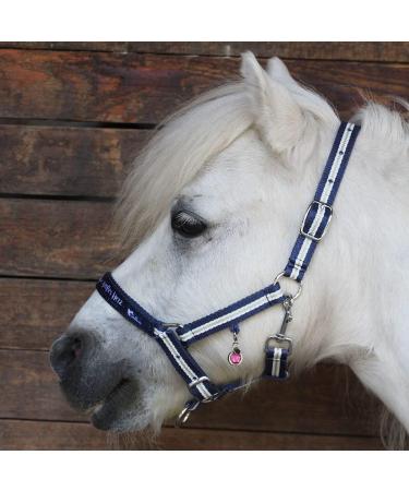 Soulhorse Bridles & Lucky Charms for Horses | Pink Charm Keychain & Trailer Accessories - Buy Online on GoSupps.com