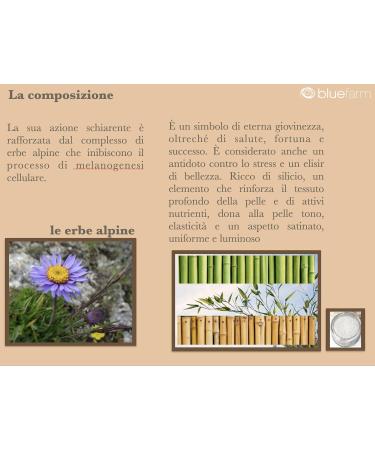 BLUE FARM | Kit 12 pcs The Unique Honey Massage Miel Massage - Buy Online on GoSupps.com