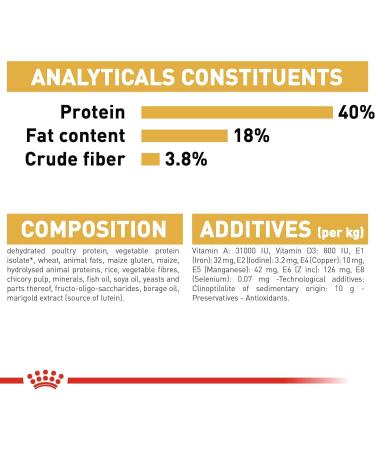 Royal Canin Bengal Cat Food 2 kg Variety 2 kg (Pack of 1) - Buy Online on GoSupps.com