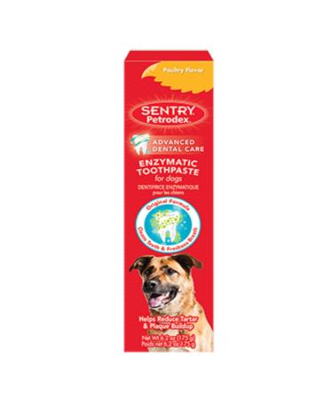 Petrodex Dental Enozymatic Toothpaste Poultry Flavor for Dogs 6.2 oz - 4 Pack