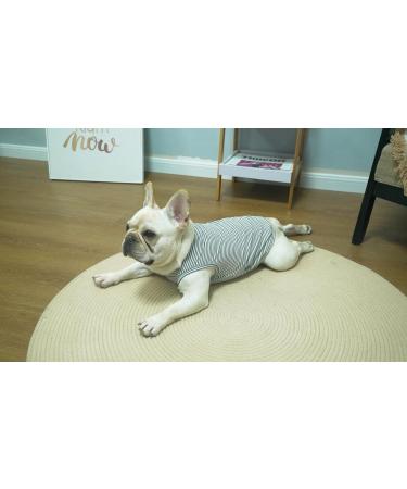 Stylish Sychien Dog Shirt - Soft Combed Cotton T-Shirt for Small Dogs Kittens & Puppies - Gray Striped Size S - Buy Online on GoSupps.com