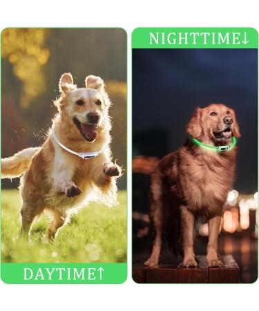 Shop Luminaire LED Dog Collar - USB Rechargeable Waterproof Adjustable | 3 Lighting Modes for Small & Medium Dogs & Cats - Green - Buy Online on GoSupps.com