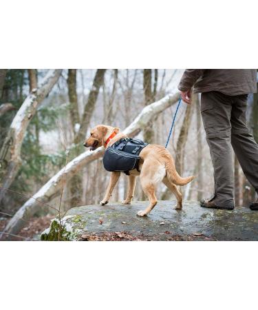 Terrain D.O.G. 07-9421-H2 Adventure Pack - Black/Gray - Large | Durable & Stylish Pack for Large Dogs - Buy Online on GoSupps.com