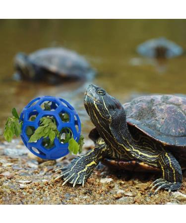 Tortoise Treat Ball Feeding Vegetable - Aquatic Turtle Toy & Feeder for Tank - Snail Habitat Accessories in Blue - Buy Online on GoSupps.com