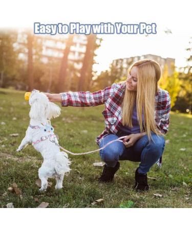 Adjustable Rabbit Leash & Cat Dishes - Perfect for Small Pets | International Shipping - Buy Online on GoSupps.com