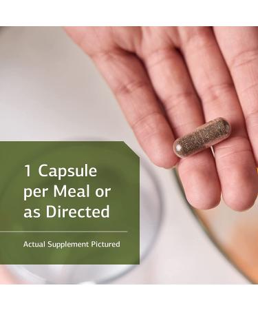 Standard Process St John's Wort-IMT - Whole Food Mental Health and Stress Relief - 90 Capsules - Buy Online on GoSupps.com