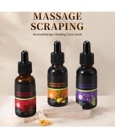 Aislor Botanical Essential Oils for Massage Spa Home Diffuser-lavender Rose And Ginger (30ml Each) for Skin And Body Care. Rose One Size One Size Rose - Buy Online on GoSupps.com