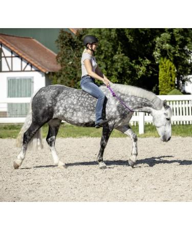 Buy USG 15200002 Adjustable Round Neck Ring - Navy/Red | International Shipping Available - Buy Online on GoSupps.com