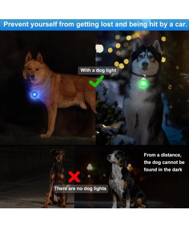 6 PCS LED Blinking Safety Lights for Dogs Cats & Kids - Bright Rechargeable Perfect for Pets & Cyclists - Buy Online on GoSupps.com