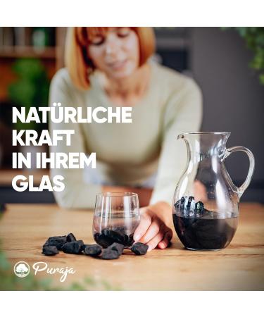 Puraja Schungit Gemstone Set | Natural Premium Raw Stones for Water Healing & Chakra | 1000g Pure Crystal Collection - Buy Online on GoSupps.com