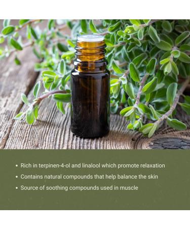 Marjoram Essential Oil - Aceite de Mejorana Direct from Egypt for Massage & Aromatherapy | Premium Therapeutic Grade (2lbs) Marjoram 32 Fl Oz (Pack of 1) - Buy Online on GoSupps.com